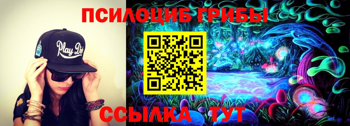 Рославль  Псилоцибиновые грибы мухоморы  Вход с VPN  Псилоцибиновые грибы Psilocybe 